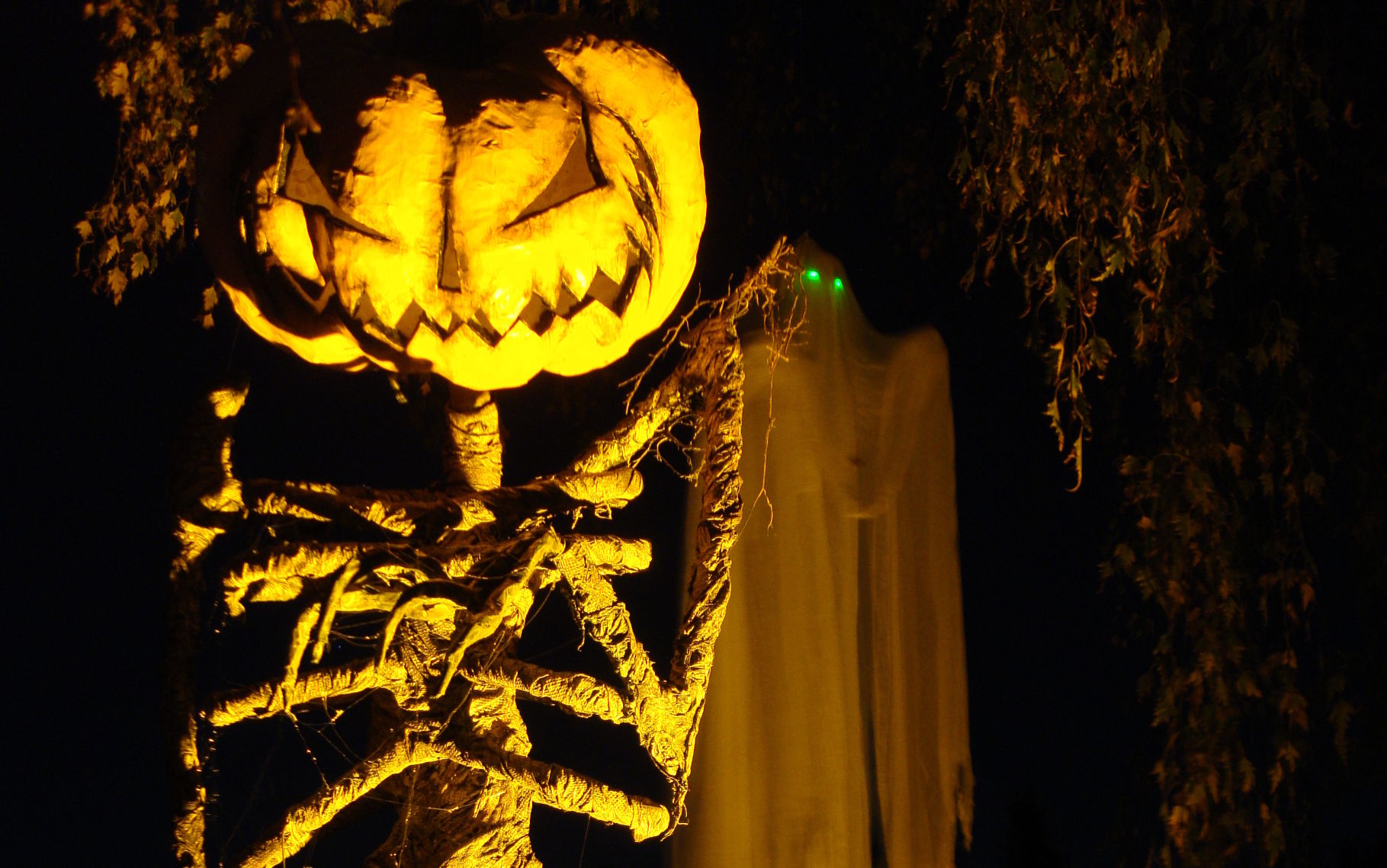 The Pumpkin Sentinel